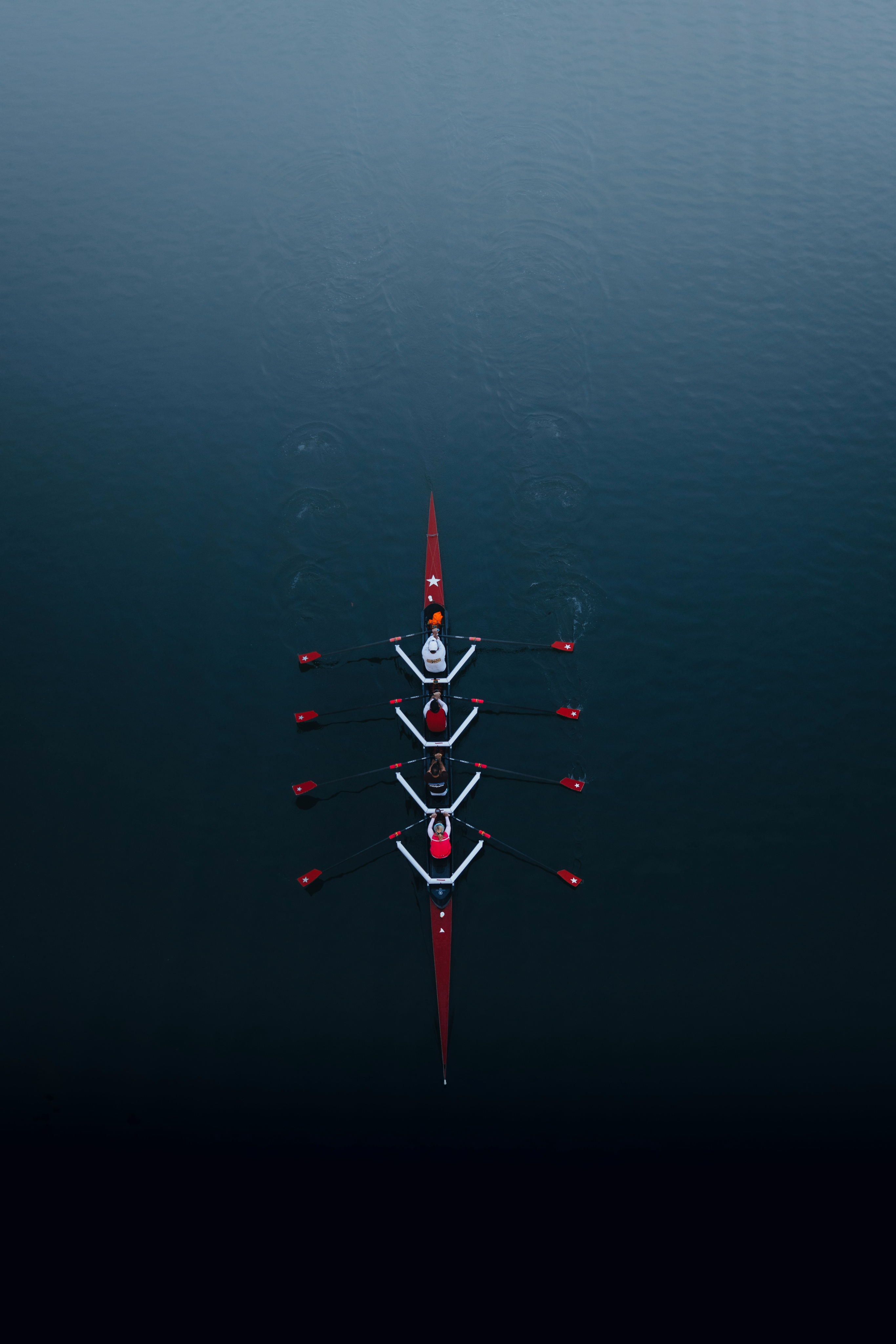 raphael-rychetsky-li9JfUHQfOY-unsplash